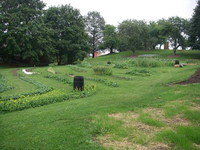 Orchard_garden_from_house_080713