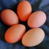 Eggs_brown